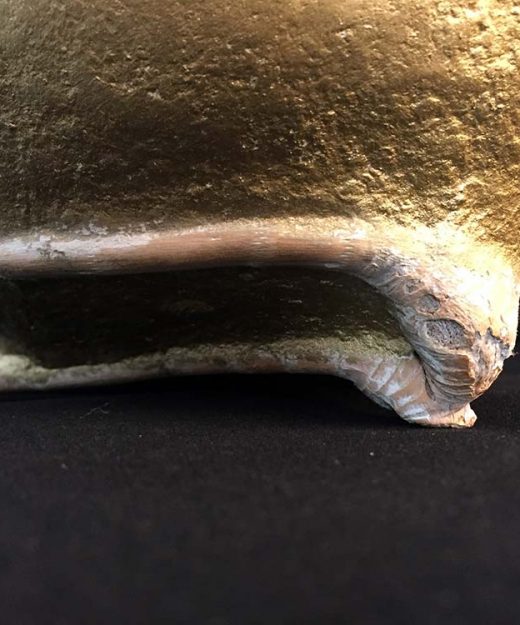 Natura – Paper Art Deco – Lokta Art